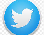 Twitter Icon